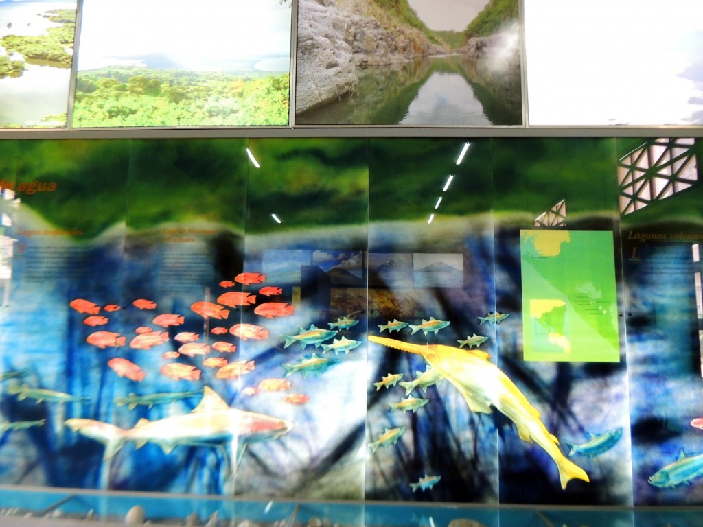 Foto de Managua, Nicaragua