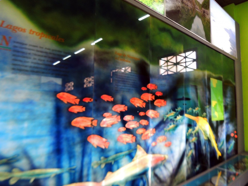 Foto de Managua, Nicaragua