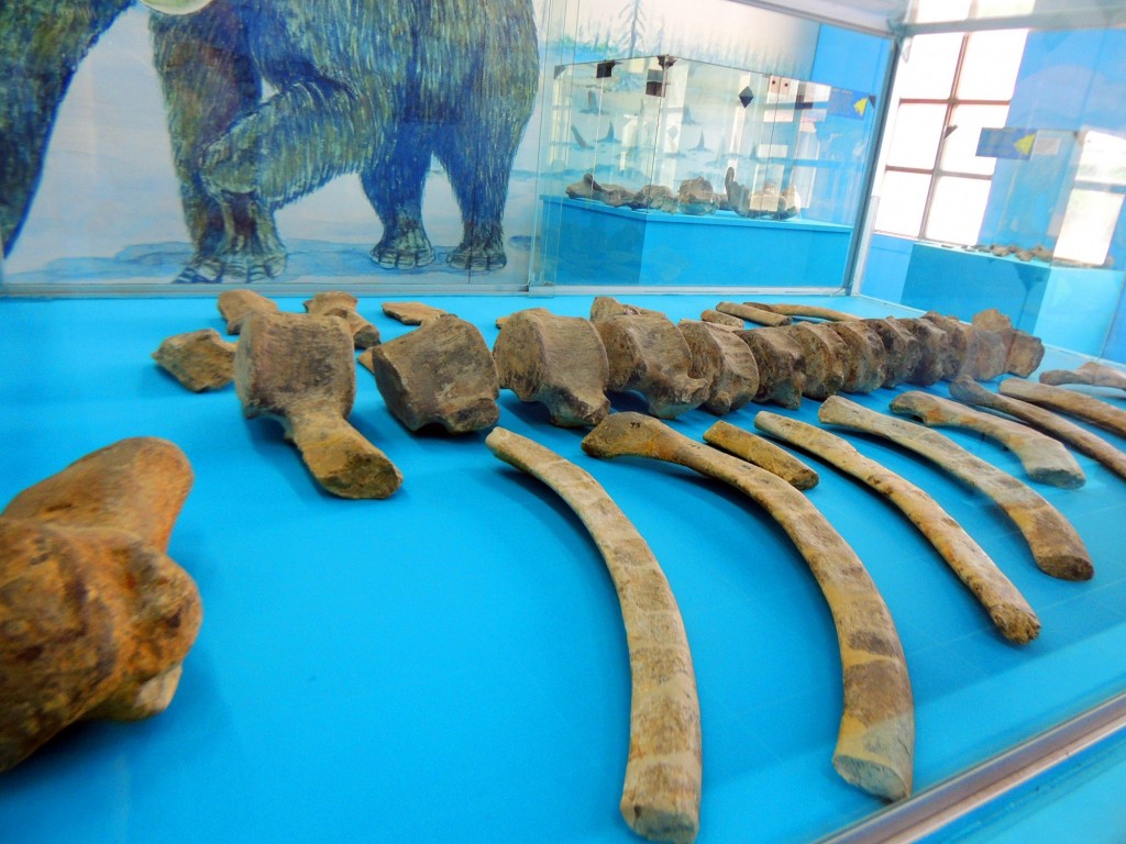 Foto de Managua, Nicaragua