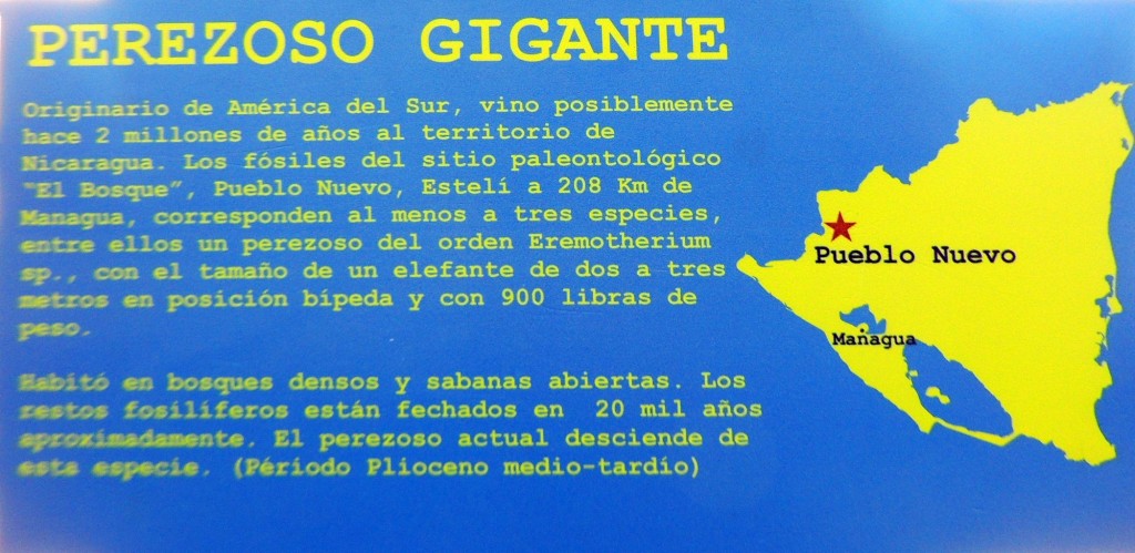 Foto: Leyenda Perezoso gigante - Managua, Nicaragua