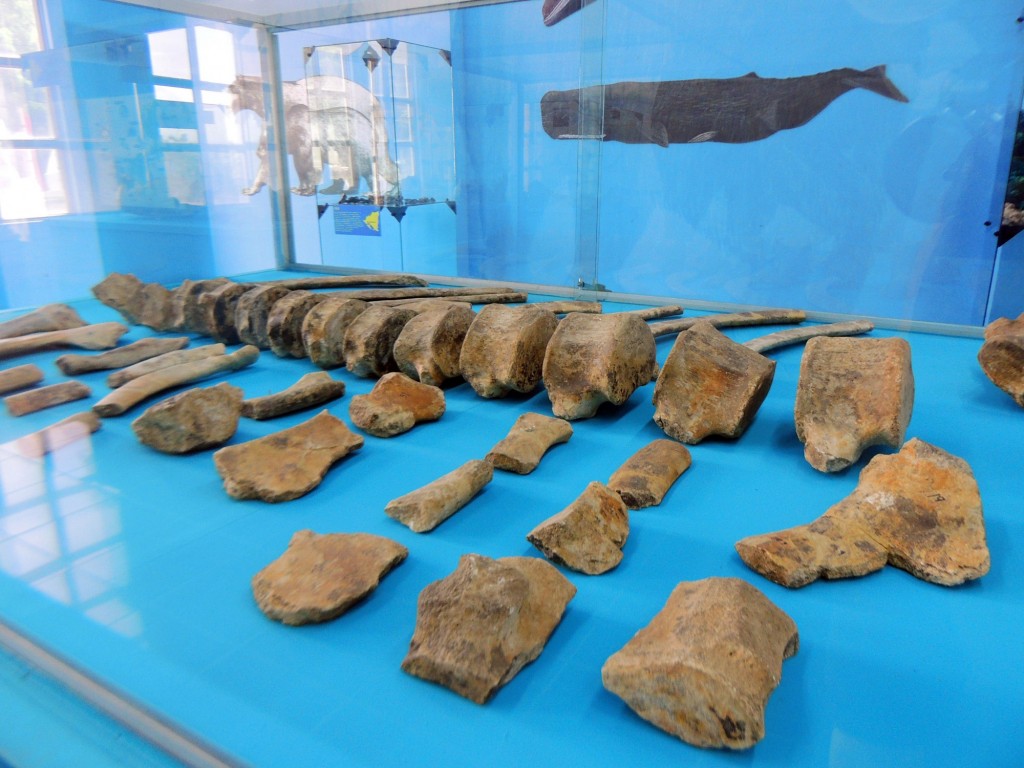 Foto de Managua, Nicaragua