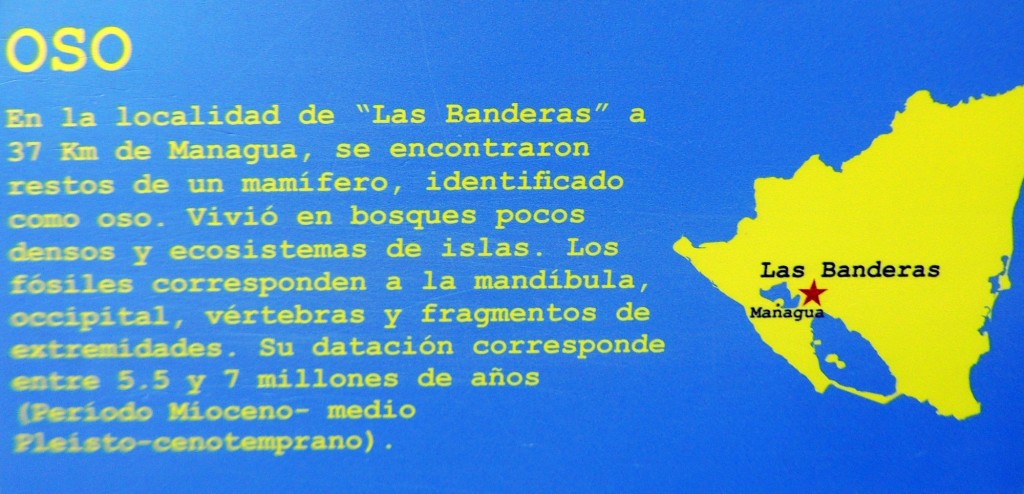 Foto de Managua, Nicaragua