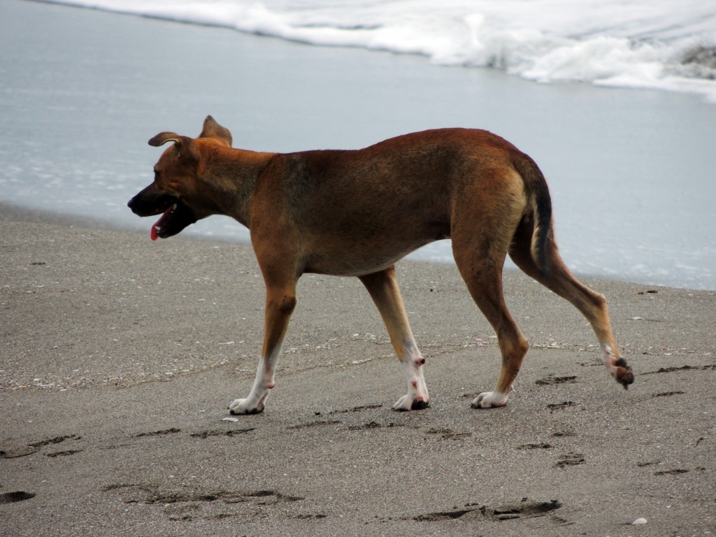 Foto: Visitante de Playa Las Peñitas - Playa Peñitas (León), Nicaragua