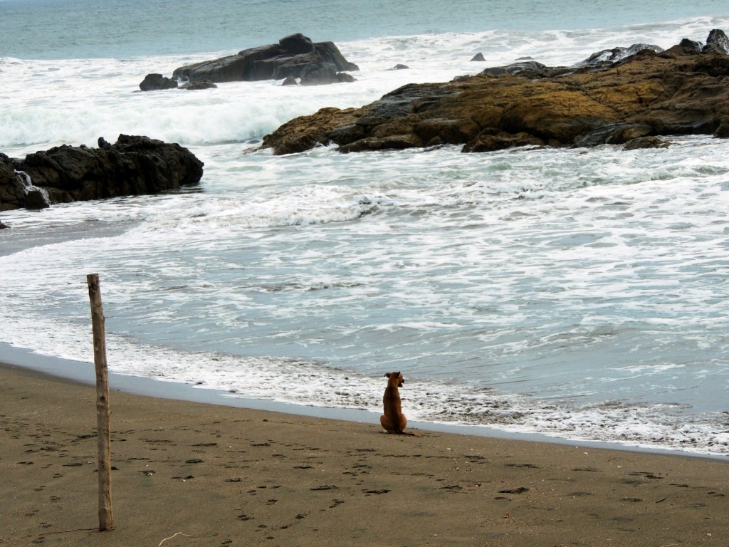 Foto: Playa Las Peñitas - Playa Peñitas (León), Nicaragua