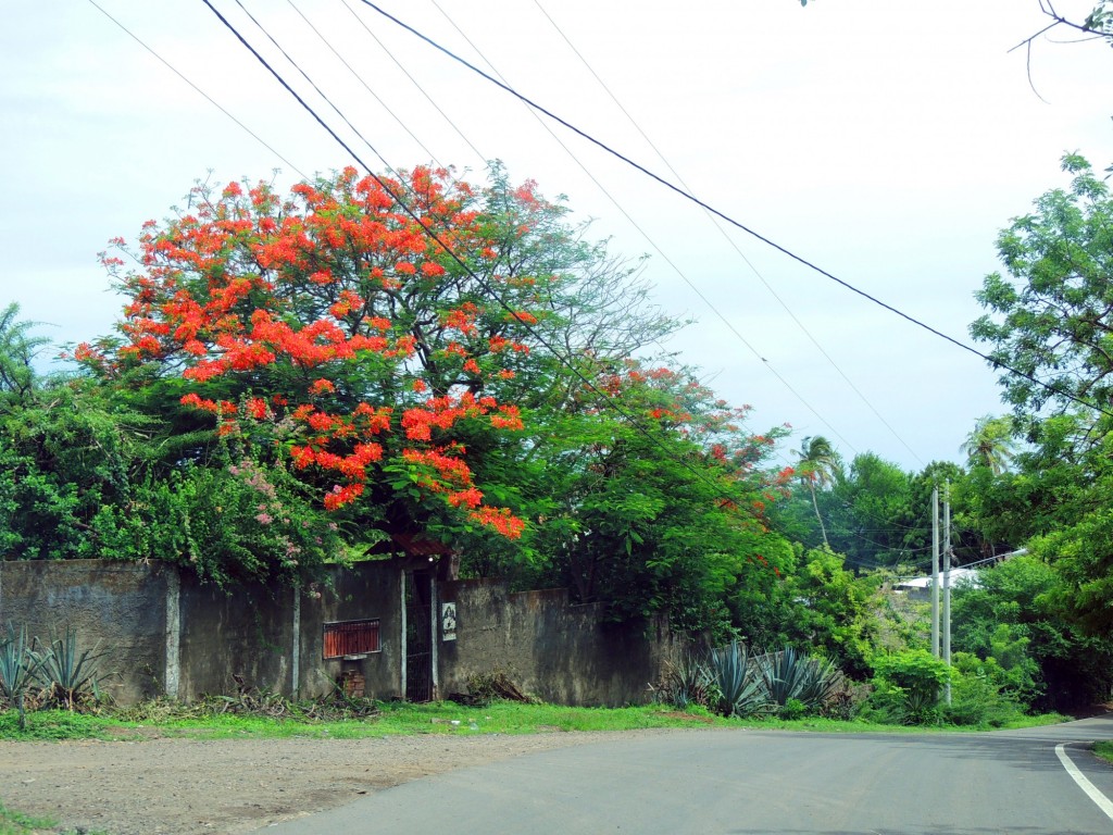 Foto: El Rancho de Juan - Playa Peñitas (León), Nicaragua