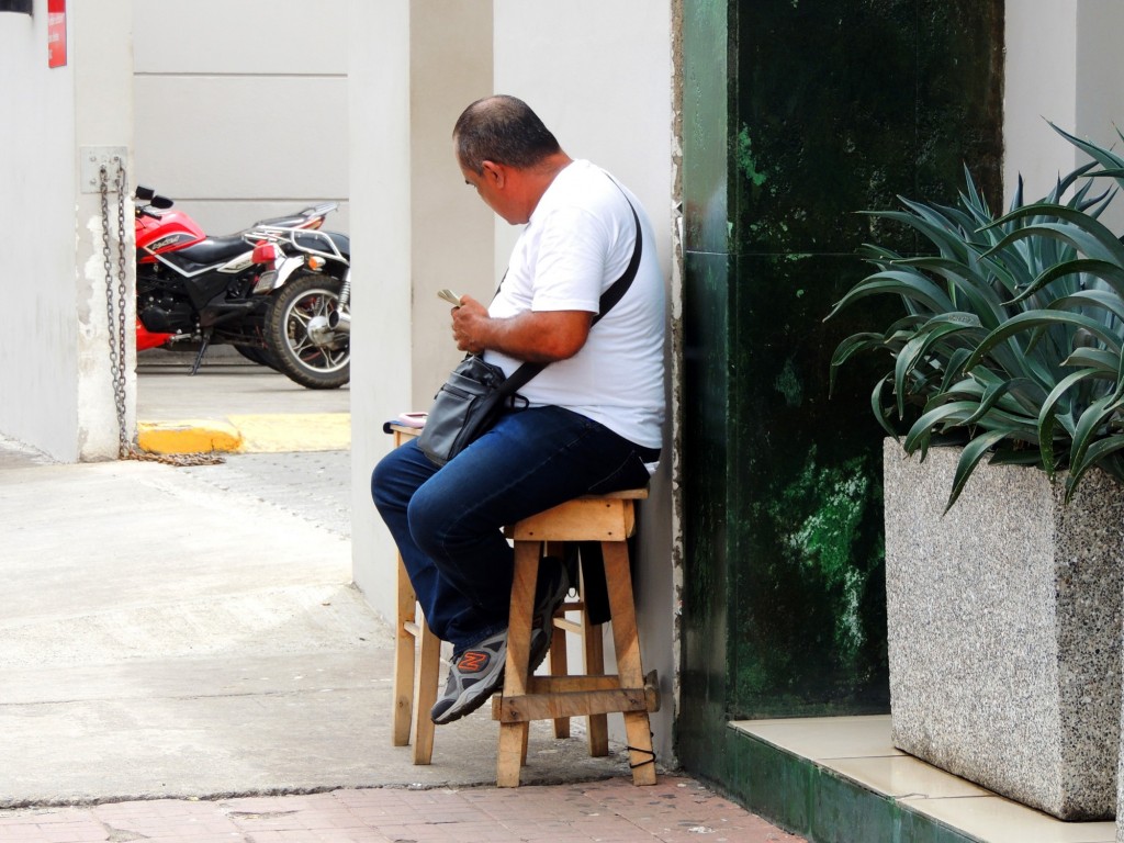 Foto: Coyotes - León, Nicaragua