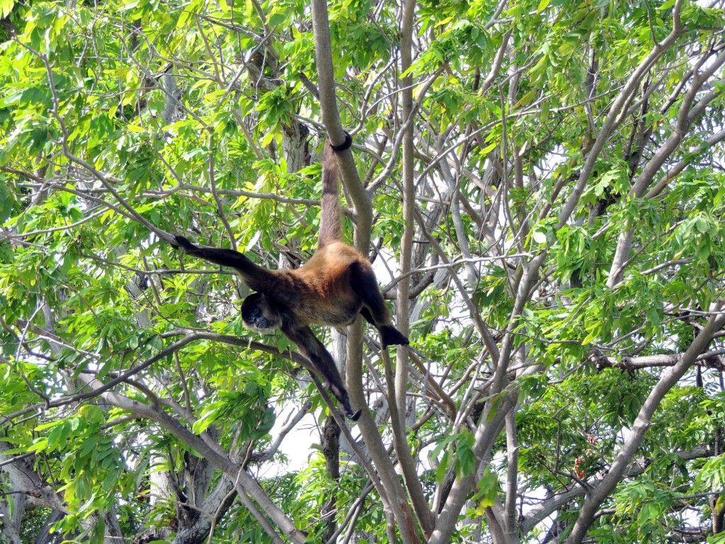 Foto: Isletas de Granada - Granada, Nicaragua