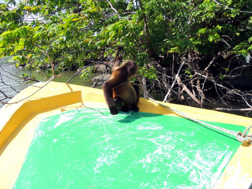 Foto: Isletas de Granada - Granada, Nicaragua