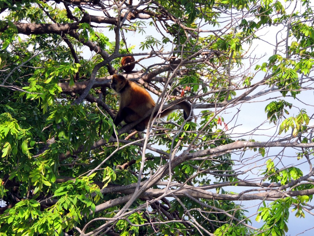 Foto: Isletas de Granada - Granada, Nicaragua