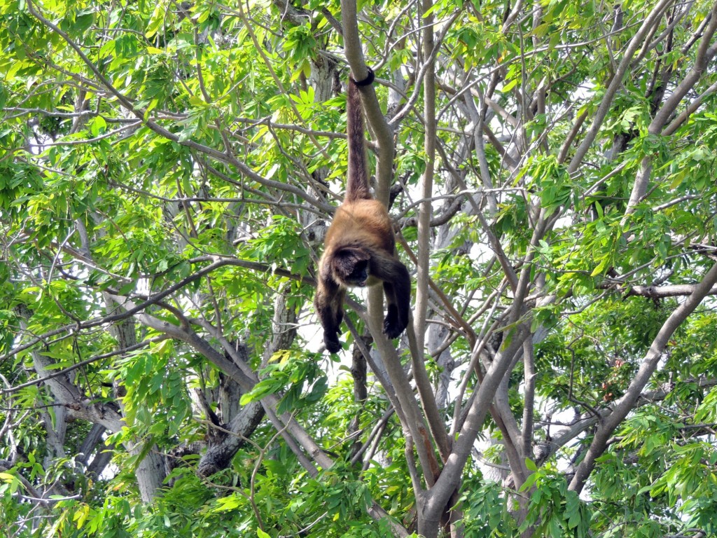 Foto: Isletas de Granada - Granada, Nicaragua