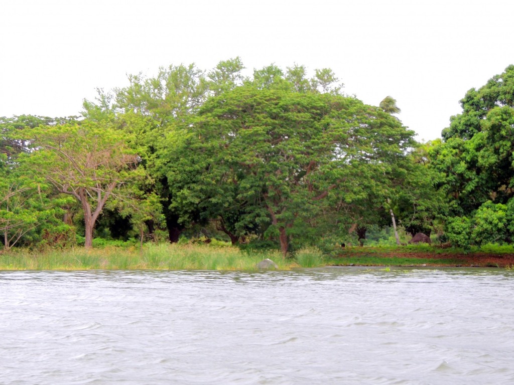 Foto: Isletas de Granada - Granada, Nicaragua