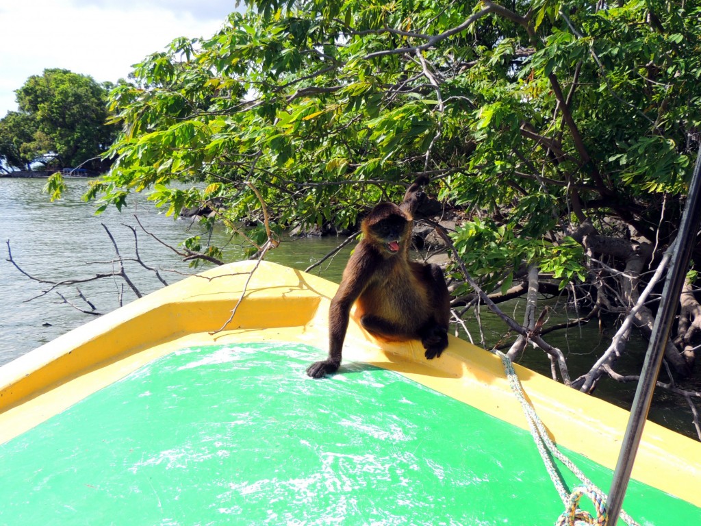Foto: Isletas de Granada - Granada, Nicaragua