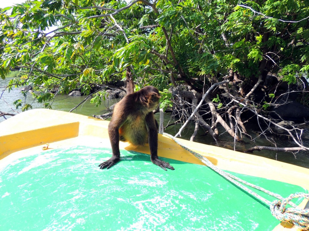 Foto: Isletas de Granada - Granada, Nicaragua
