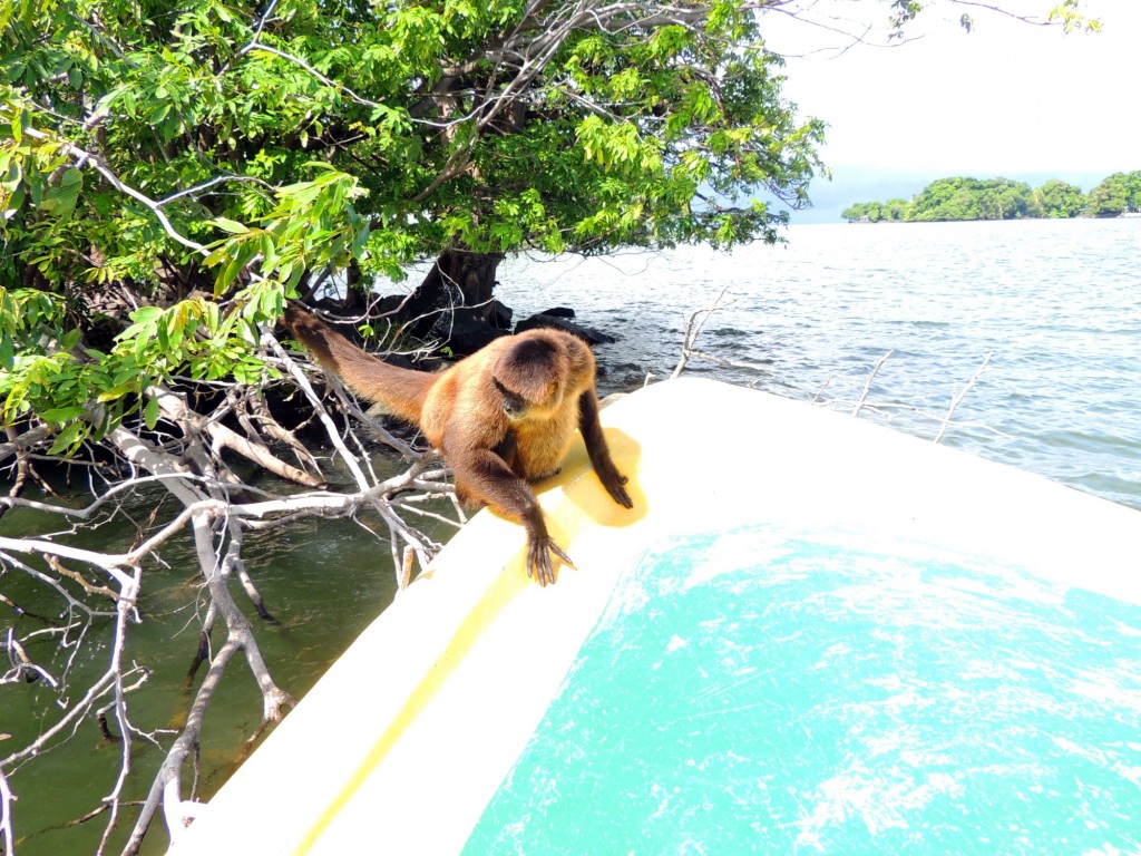 Foto de Granada, Nicaragua