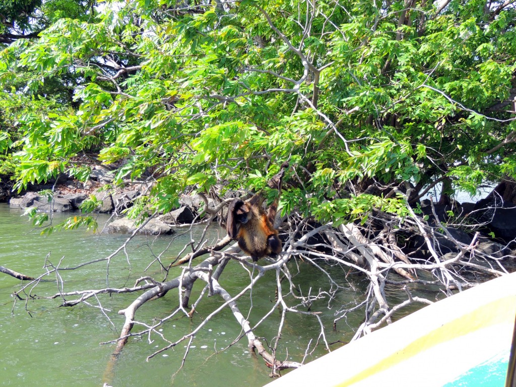 Foto: Isletas de Granada - Granada, Nicaragua