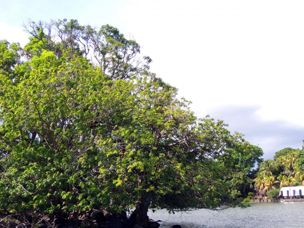Foto: Isletas de Granada - Granada, Nicaragua