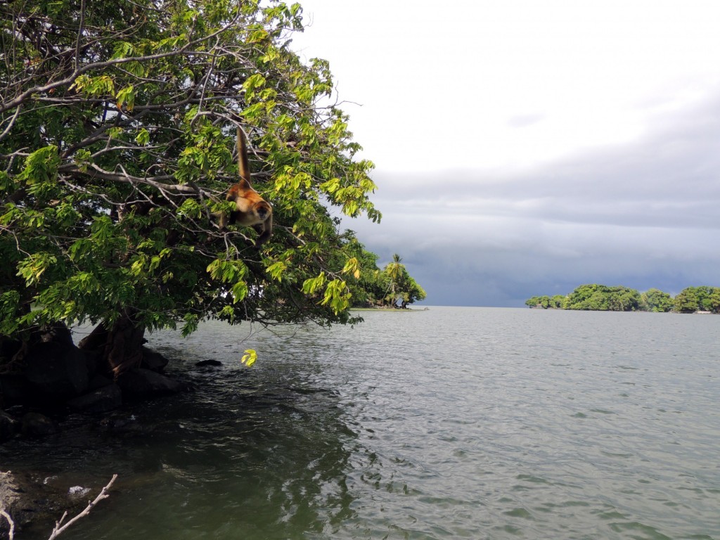 Foto: Isletas de Granada - Granada, Nicaragua