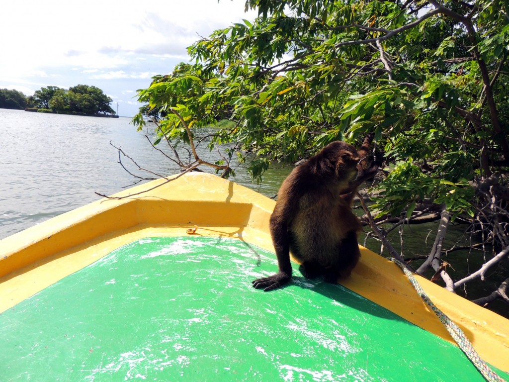 Foto: Isletas de Granada - Granada, Nicaragua