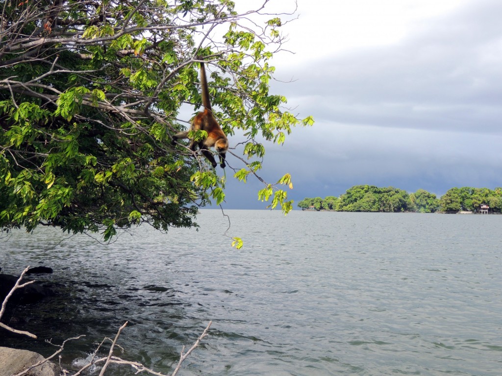 Foto: Isletas de Granada - Granada, Nicaragua