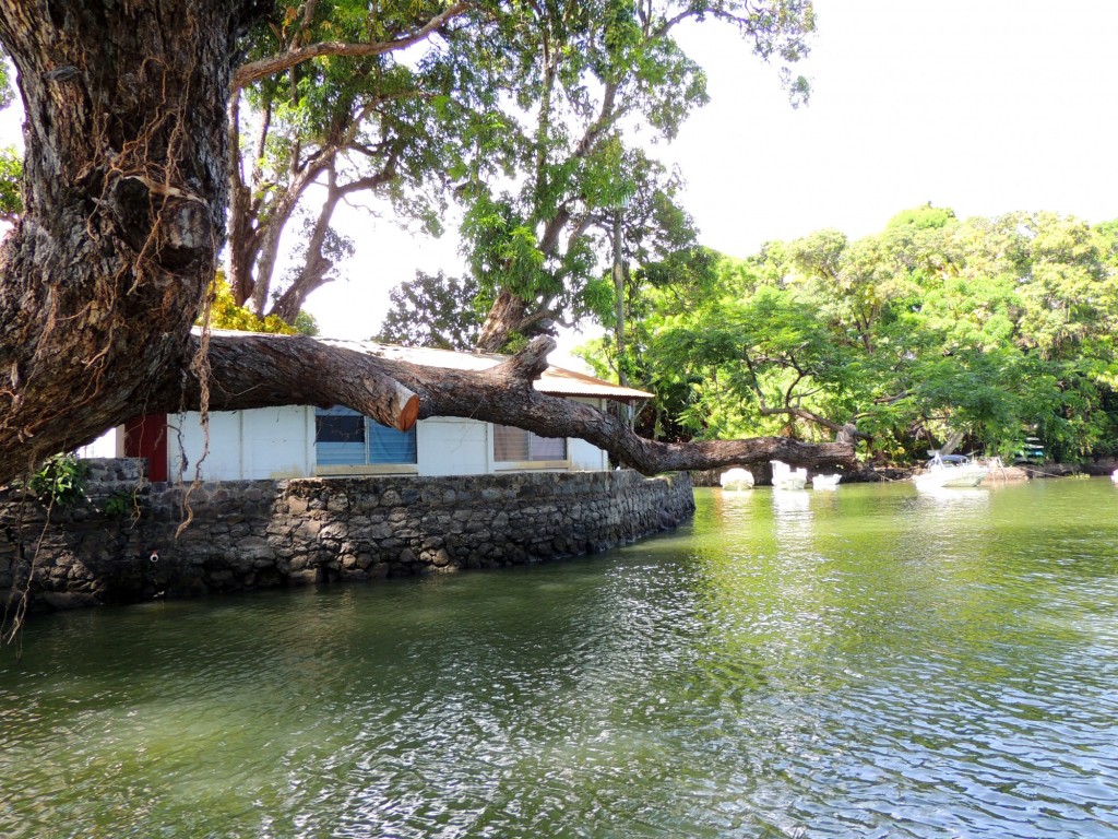 Foto: Isletas de Granada - Granada, Nicaragua