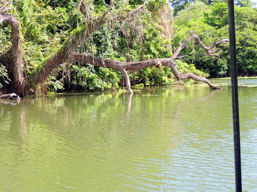 Foto: Isletas de Granada - Granada, Nicaragua