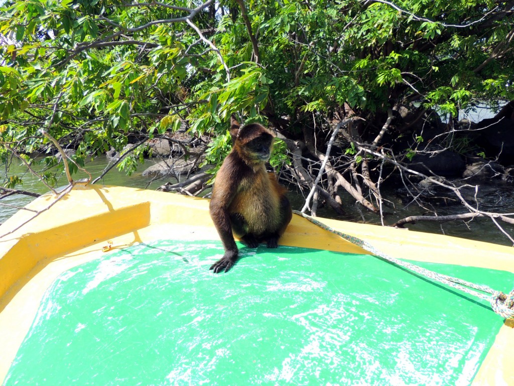 Foto: Isletas de Granada - Granada, Nicaragua