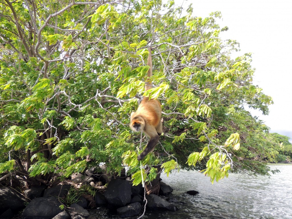 Foto: Isletas de Granada - Granada, Nicaragua