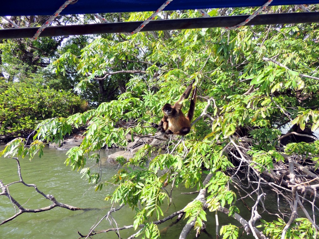 Foto: Isletas de Granada - Granada, Nicaragua