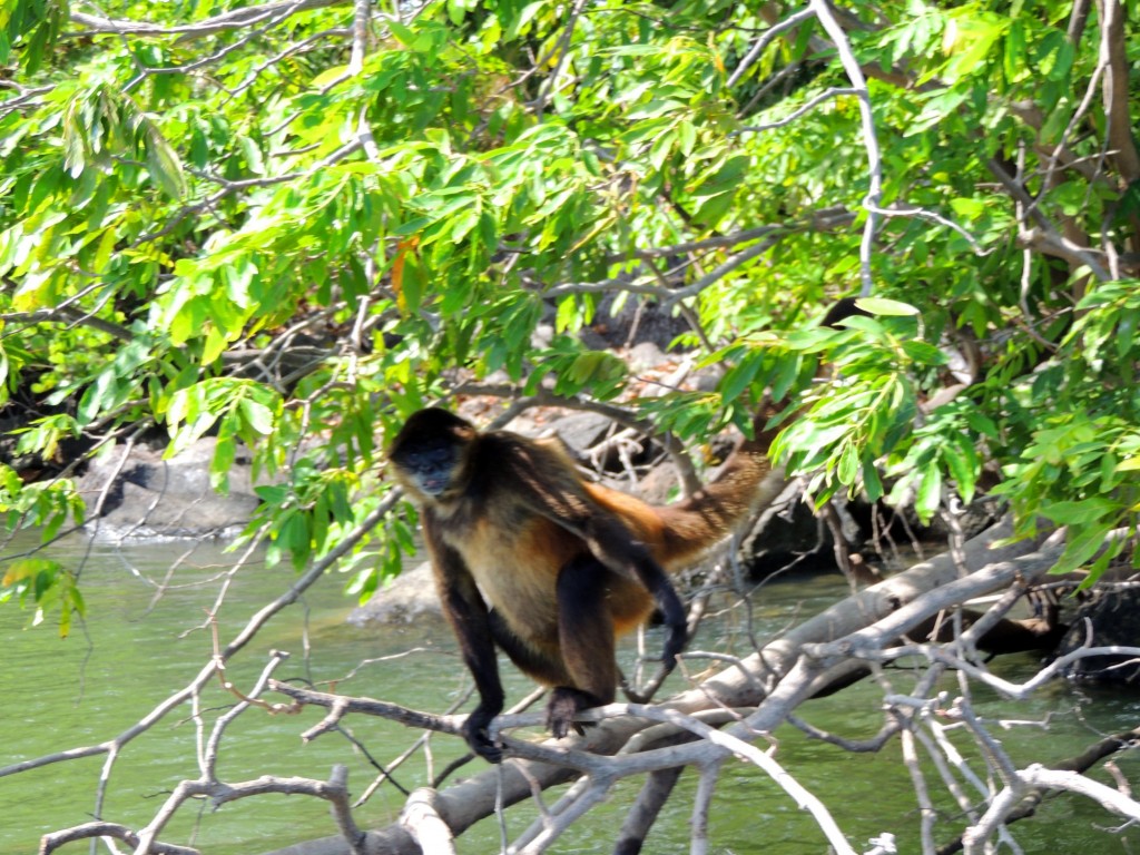 Foto: Isletas de Granada - Granada, Nicaragua