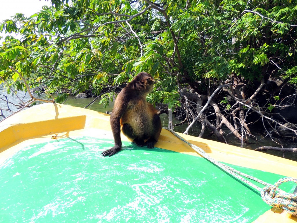 Foto: Isletas de Granada - Granada, Nicaragua