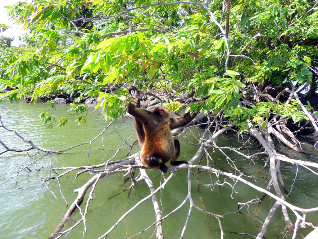 Foto: Isletas de Granada - Granada, Nicaragua