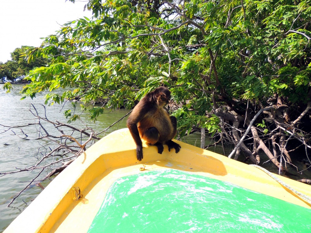 Foto: Isletas de Granada - Granada, Nicaragua