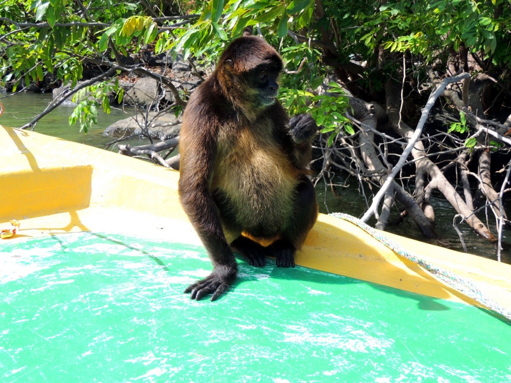 Foto: Isletas de Granada - Granada, Nicaragua