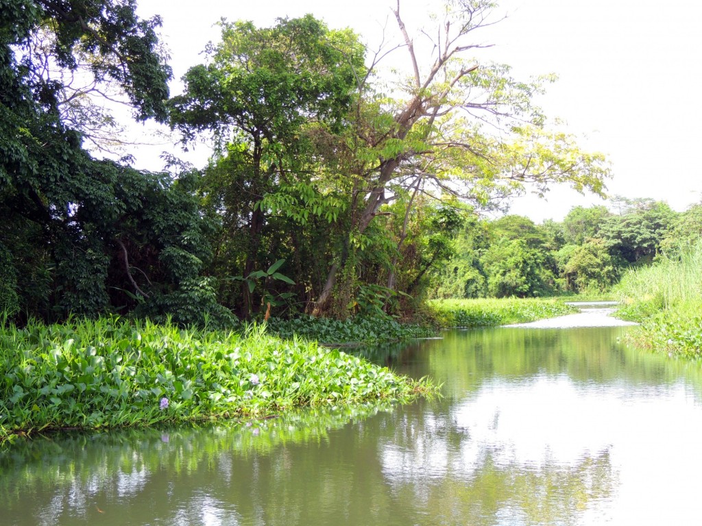 Foto: Isletas de Granada - Granada, Nicaragua