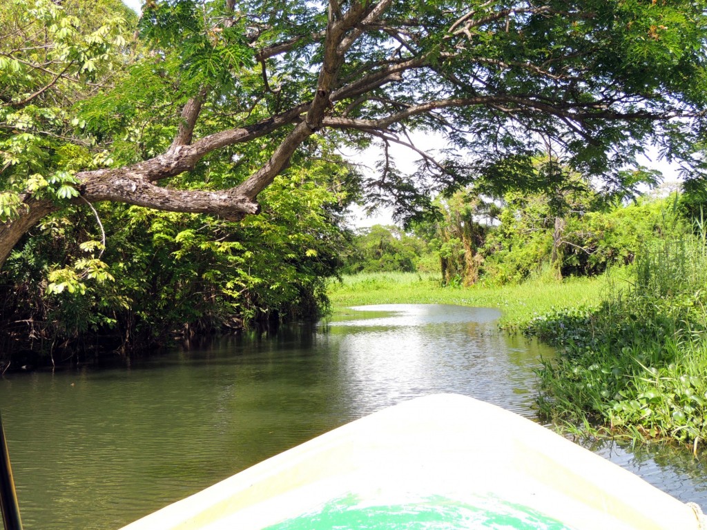 Foto: Isletas de Granada - Granada, Nicaragua