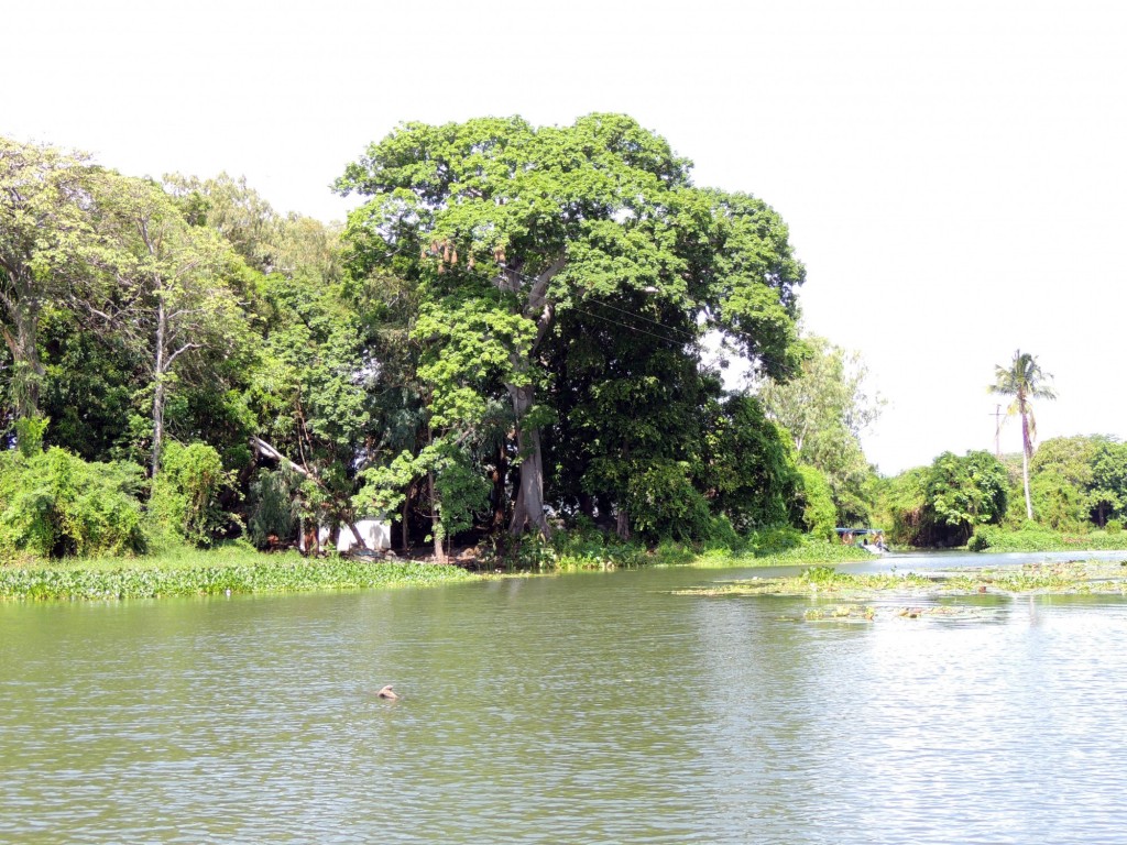 Foto: Isletas de Granada - Granada, Nicaragua