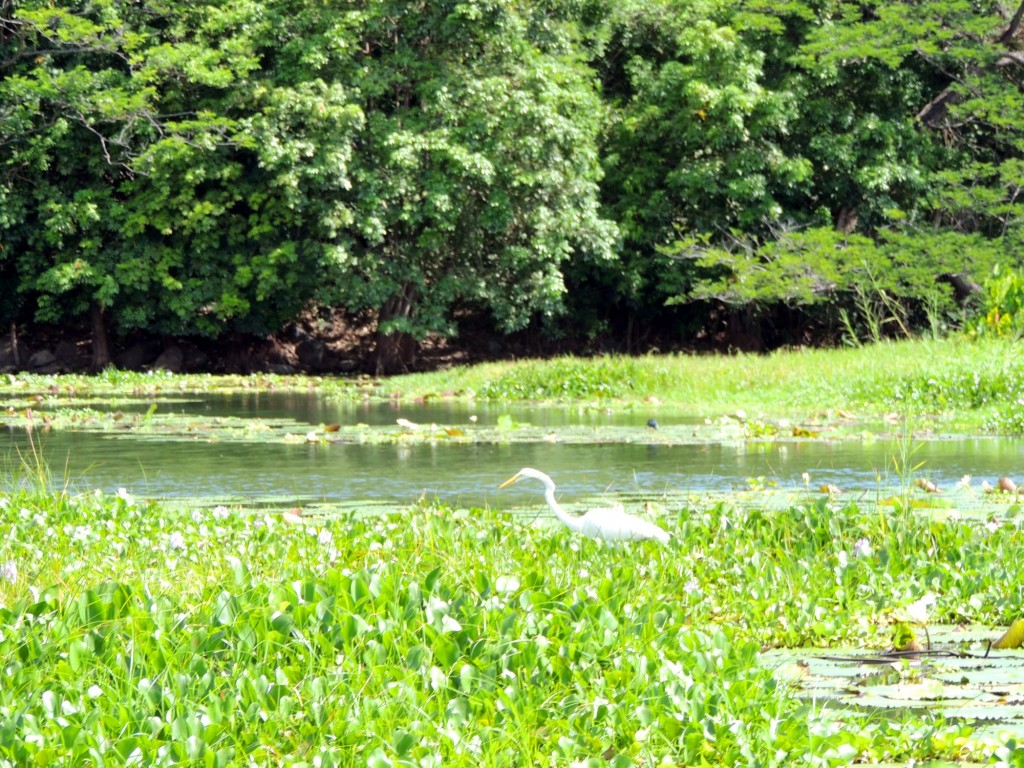 Foto: Isletas de Granada - Granada, Nicaragua
