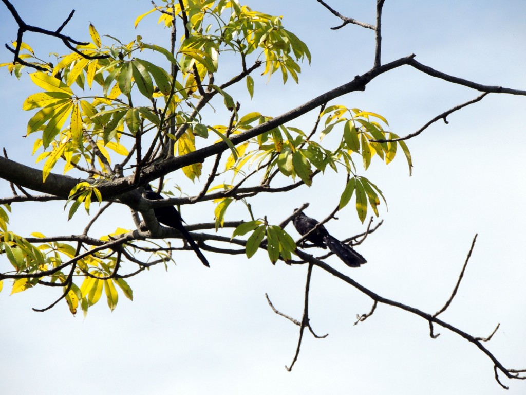Foto: Isletas de Granada - Granada, Nicaragua