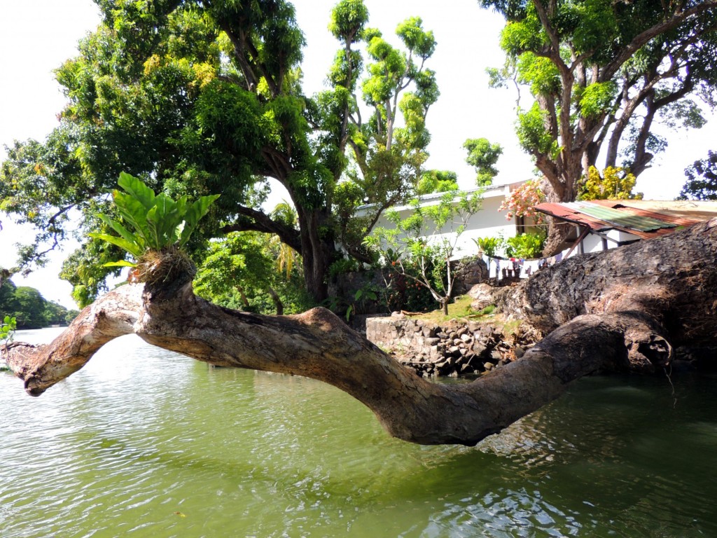 Foto: Isletas de Granada - Granada, Nicaragua