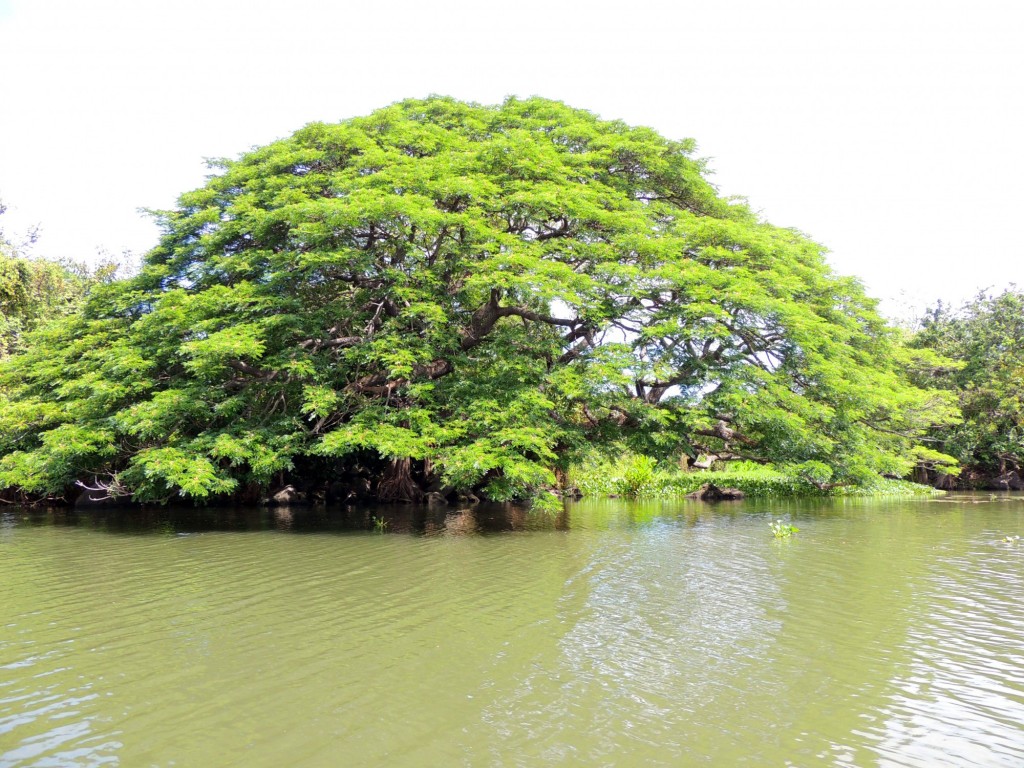 Foto: Isletas de Granada - Granada, Nicaragua