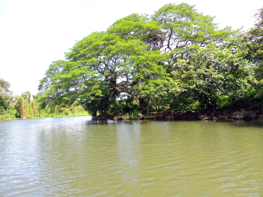 Foto: Isletas de Granada - Granada, Nicaragua