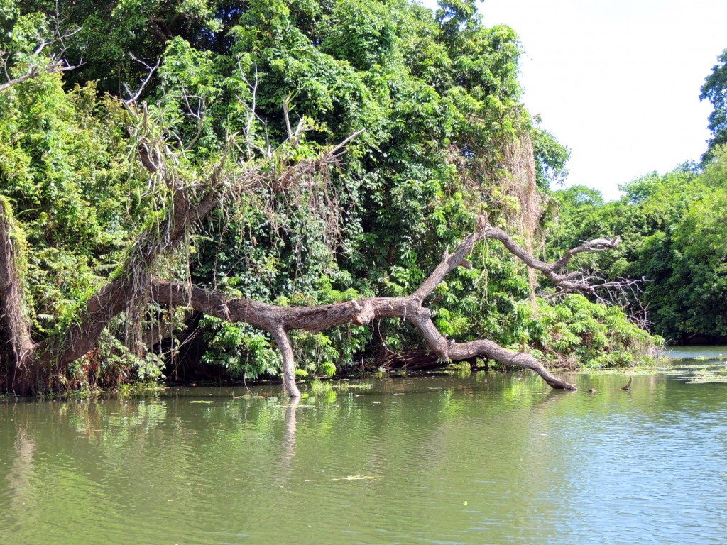 Foto: Isletas de Granada - Granada, Nicaragua
