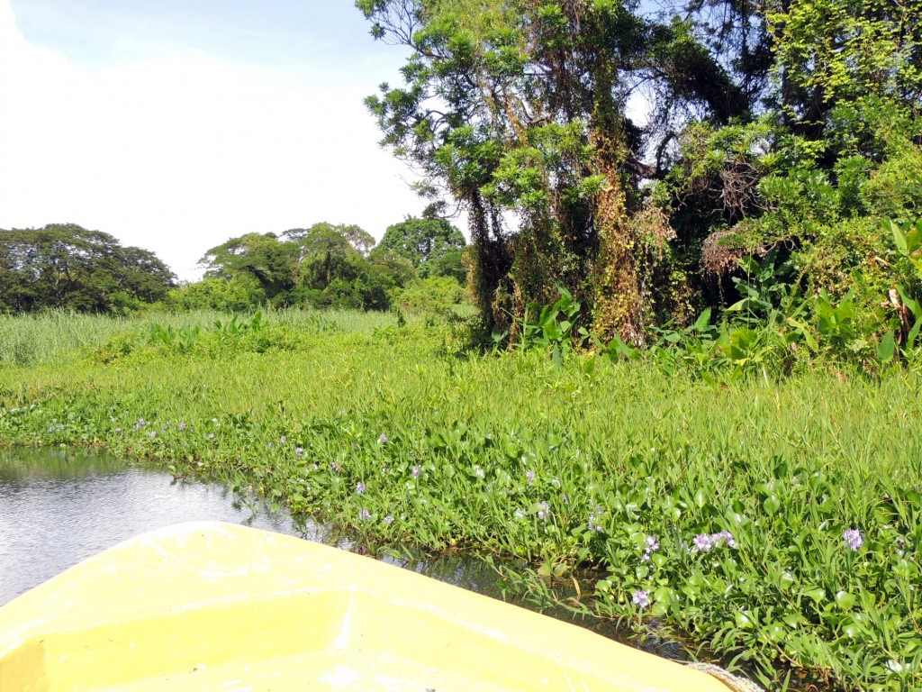 Foto: Isletas de Granada - Granada, Nicaragua