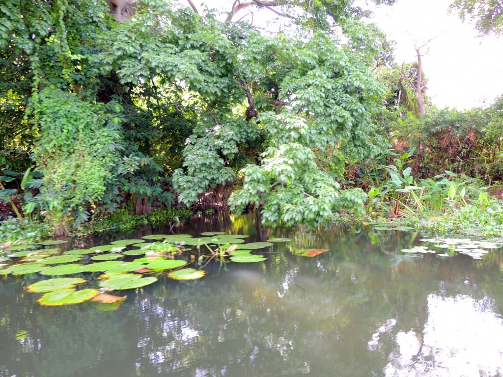 Foto: Isletas de Granada - Granada, Nicaragua