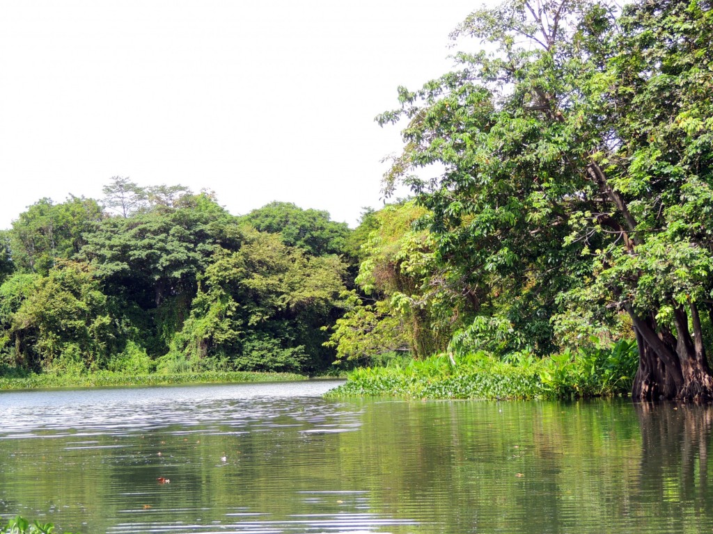Foto: Isletas de Granada - Granada, Nicaragua