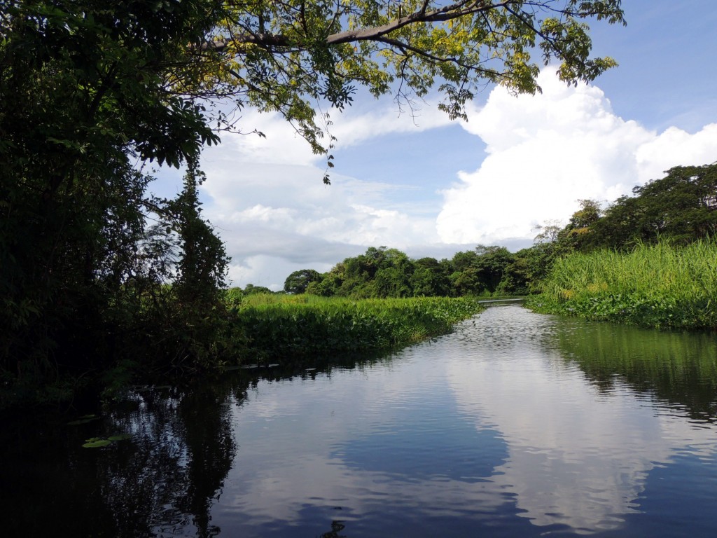 Foto: Isletas de Granada - Granada, Nicaragua