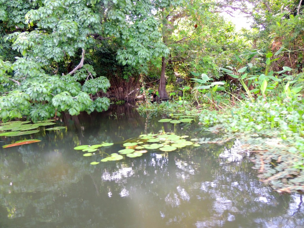 Foto: Isletas de Granada - Granada, Nicaragua