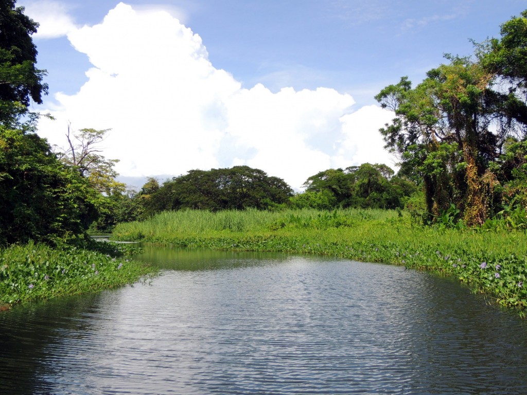 Foto: Isletas de Granada - Granada, Nicaragua