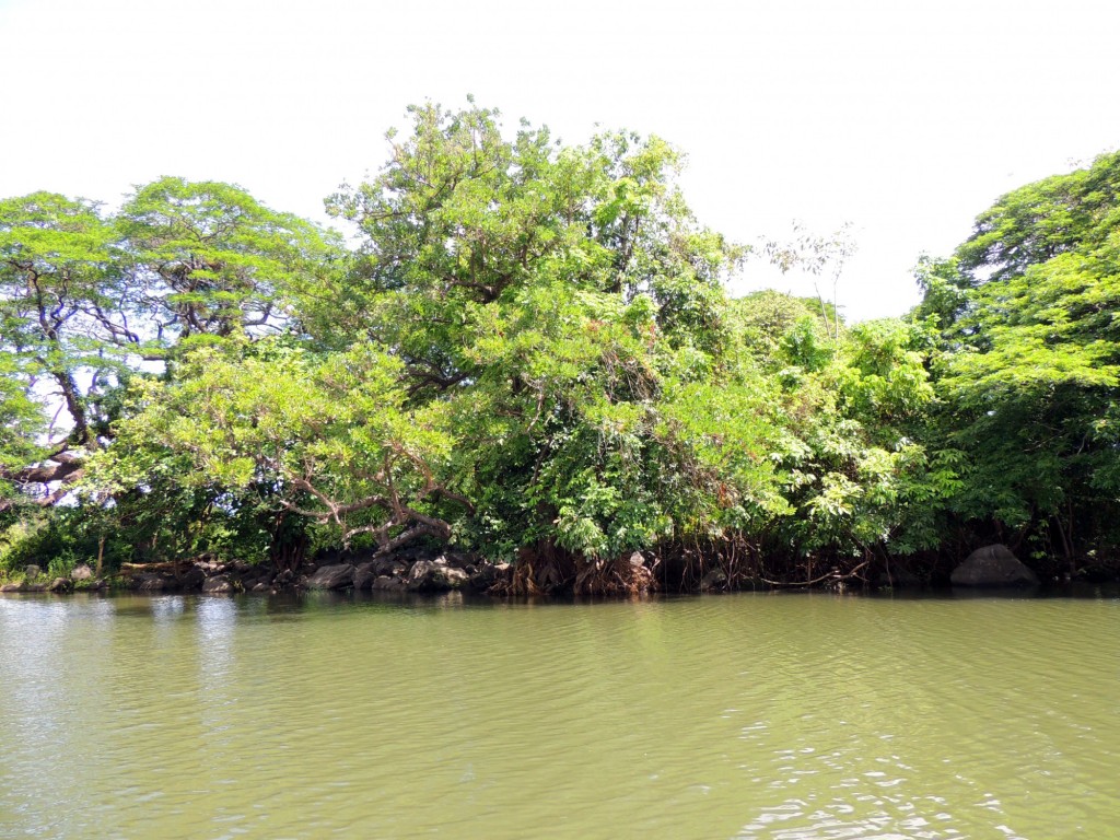 Foto: Isletas de Granada - Granada, Nicaragua