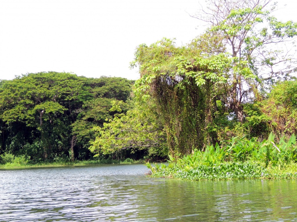 Foto: Isletas de Granada - Granada, Nicaragua